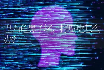 巴西龟鼻子堵，打喷嚏怎么办？