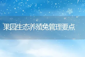 果园生态养殖兔管理要点