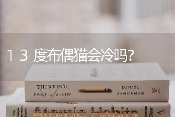 恶作剧之吻里的那条狗是什么狗？