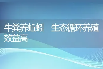 牛粪养蚯蚓 生态循环养殖效益高