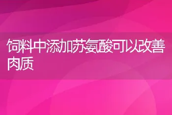 饲料中添加苏氨酸可以改善肉质