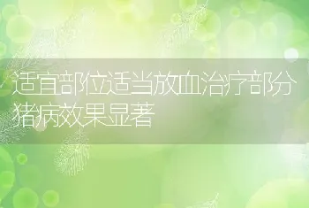 适宜部位适当放血治疗部分猪病效果显著