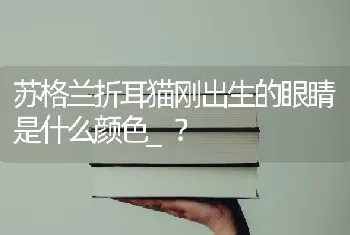 苏格兰折耳猫刚出生的眼睛是什么颜色_？