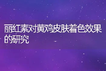 丽红素对黄鸡皮肤着色效果的研究