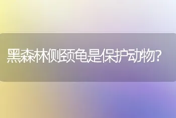 黑森林侧颈龟是保护动物？