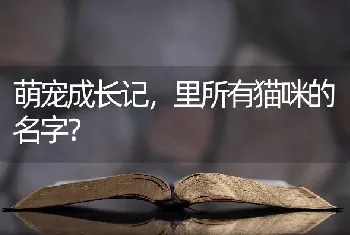 萌宠成长记，里所有猫咪的名字？