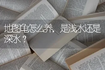 地图龟怎么养，是浅水还是深水？