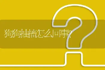 狗狗抽搐怎么回事？