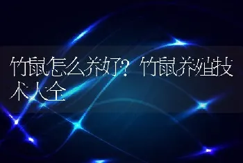 竹鼠怎么养好？竹鼠养殖技术大全