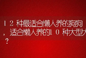 12种最适合懒人养的狗狗，适合懒人养的10种大型犬？