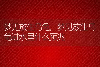 梦见放生乌龟，梦见放生乌龟进水里什么预兆