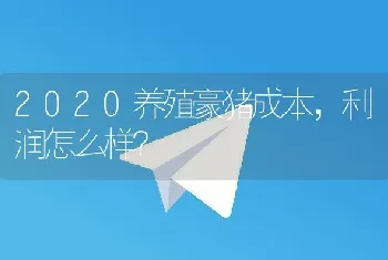 2020养殖豪猪成本，利润怎么样？