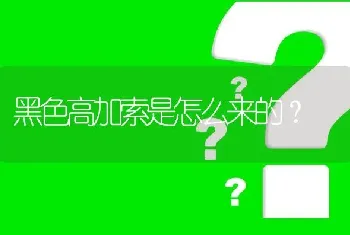 黑色高加索是怎么来的？