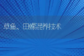 草鱼、田螺混养技术