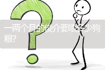 一两个月的俊介要喂多少狗粮？