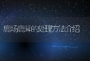 鹿场鹿茸的处理方法介绍