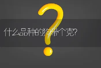 什么品种的狗带个克？