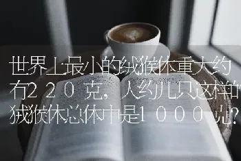 2014年鹰嘴龟的价格？