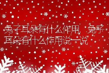 兔子耳朵有什么作用，兔子耳朵有什么作用说一说