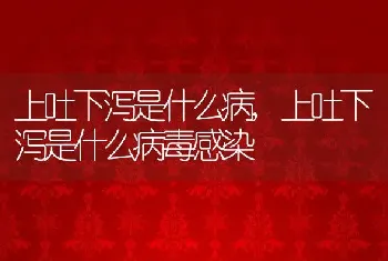 上吐下泻是什么病，上吐下泻是什么病毒感染