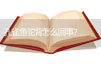 孔雀鱼驼背怎么回事？