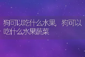 狗可以吃什么水果，狗可以吃什么水果蔬菜