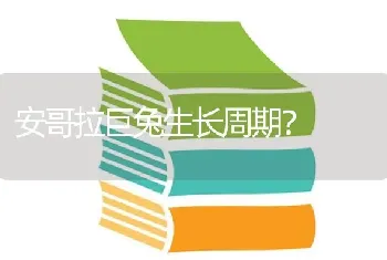 安哥拉巨兔生长周期？