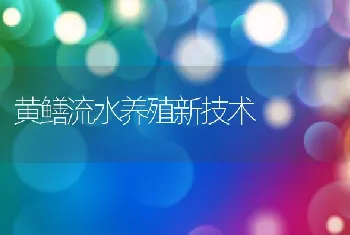 黄鳝流水养殖新技术