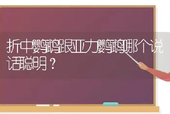 折中鹦鹉跟亚力鹦鹉哪个说话聪明？