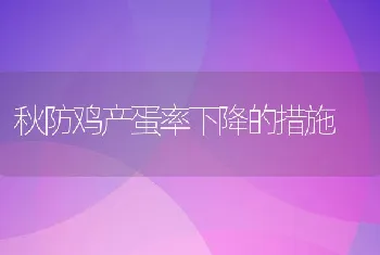 秋防鸡产蛋率下降的措施