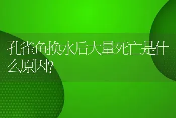 孔雀鱼换水后大量死亡是什么原因？