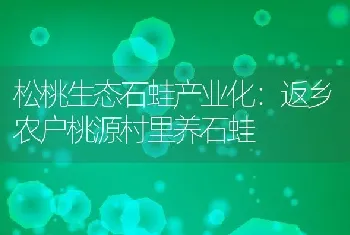 松桃生态石蛙产业化：返乡农户桃源村里养石蛙