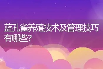 蓝孔雀养殖技术及管理技巧有哪些？