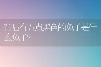 背后有五点黑色的兔子是什么兔子？