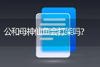 公和母神仙鱼会打架吗？