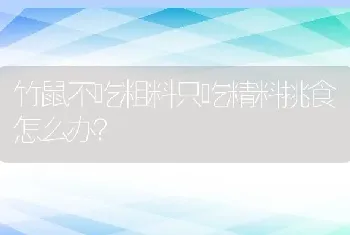 竹鼠不吃粗料只吃精料挑食怎么办？