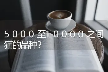 5000至10000之间猫的品种？