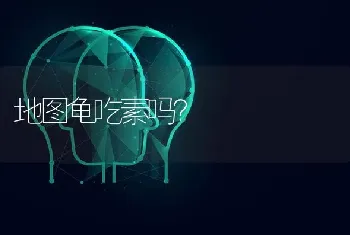 地图龟吃素吗？