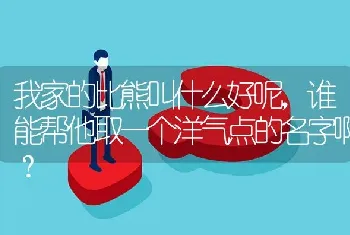 我家的比熊叫什么好呢，谁能帮他取一个洋气点的名字啊？