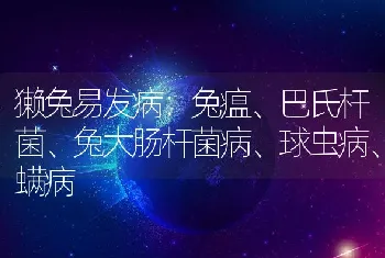 獭兔易发病：兔瘟、巴氏杆菌、兔大肠杆菌病、球虫病、螨病