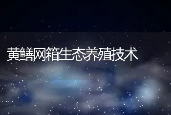 黄鳝网箱生态养殖技术