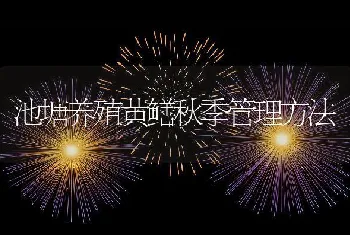 池塘养殖黄鳝秋季管理方法