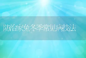 防治家兔冬季常见病技法