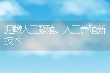 泥鳅人工繁殖、人工养殖新技术