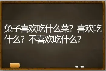 兔子喜欢吃什么菜？喜欢吃什么？不喜欢吃什么？