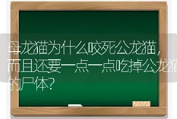 母龙猫为什么咬死公龙猫，而且还要一点一点吃掉公龙猫的尸体？