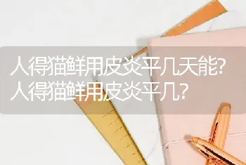 人得猫鲜用皮炎平几天能？人得猫鲜用皮炎平几？