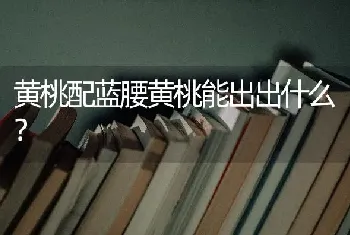 黄桃配蓝腰黄桃能出出什么？