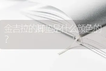 金吉拉的脚垫是什么颜色的？