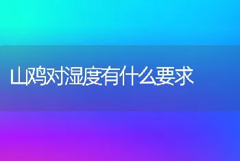 金钱龟亲龟感冒治疗方法